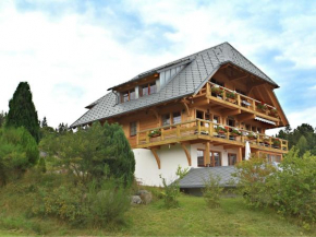 Lovely Apartment in Dachsberg Urberg with Roof Terrace